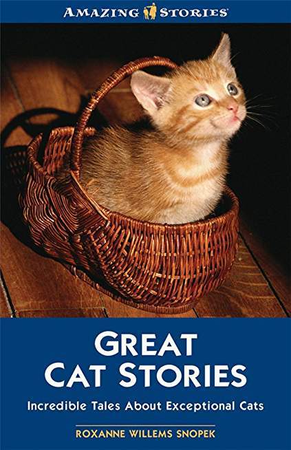 Great Cat Stories: Incredible Tales About Exceptional Cats (Amazing Stories)