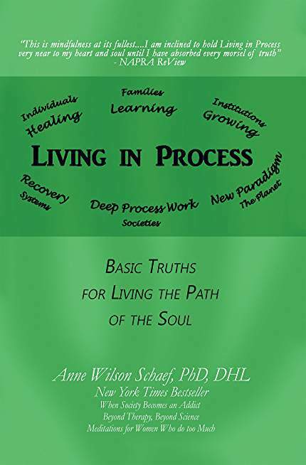 Living in Process: Basic Truths for Living the Path of the Soul