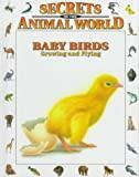 Baby Birds: Growing and Flying (Secrets of the Animal World)