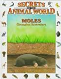 Moles: Champion Excavators (Secrets Animal World)
