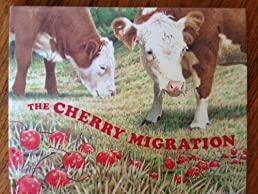 The Cherry Migration