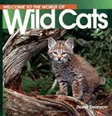 Welcome to the World of Wild Cats